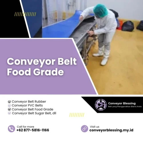 Conveyor Belt Food Grade