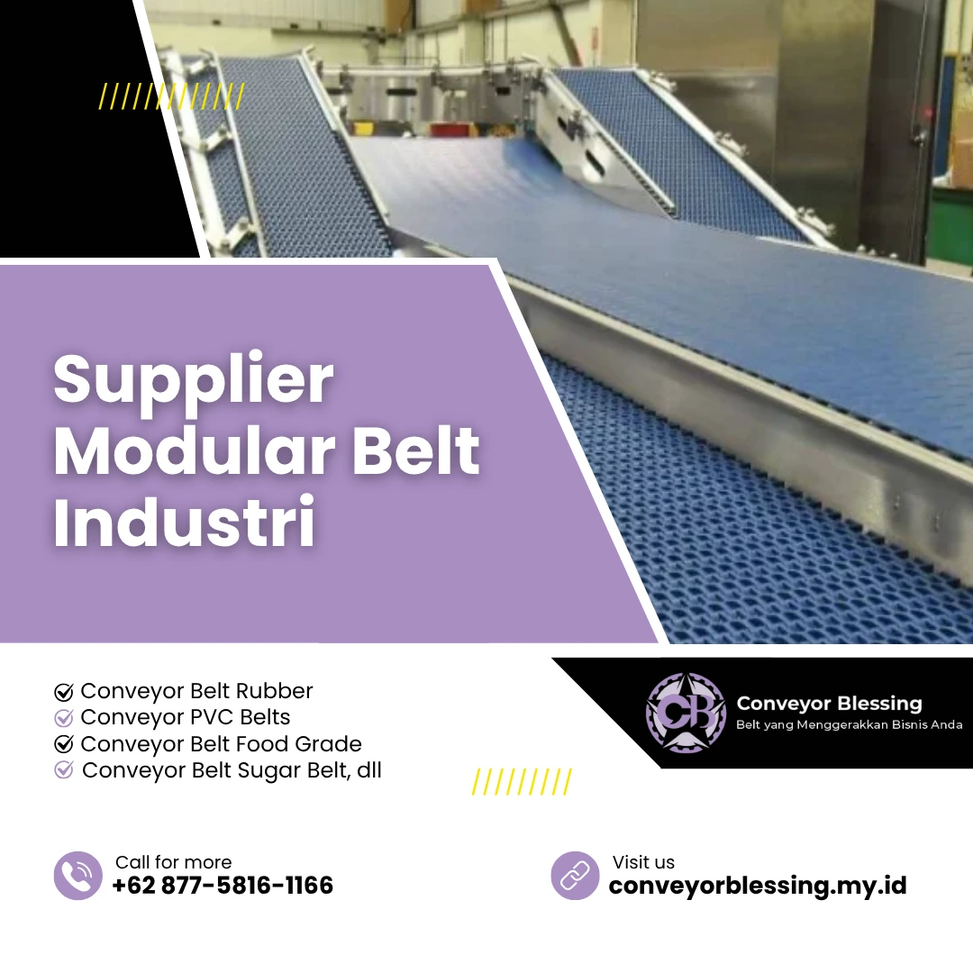 Supplier Modular Belt Industri
